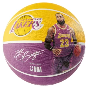 Pelota de Basket Spalding NBA Lebron James Lakers Outdoor #7