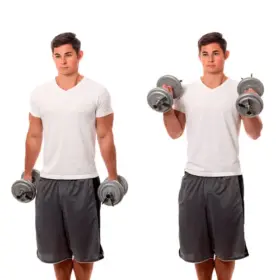 Alternative view of Discos Cromados 5 Kg - Par