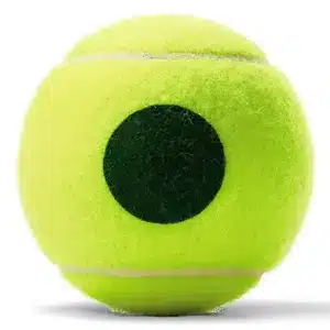 Wilson Roland Garros - AMARILLO - Pelotas Tenis