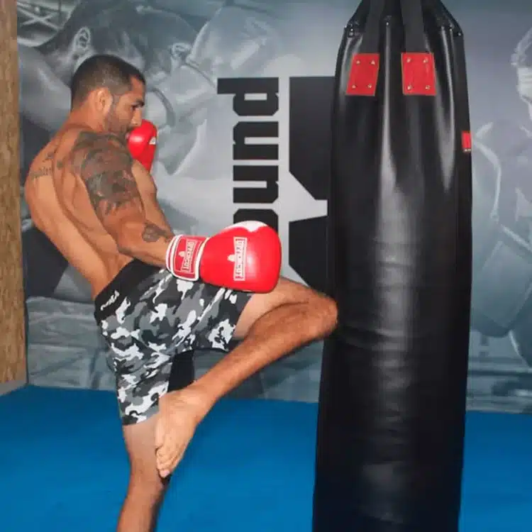 GUANTES PARA BOX DE COMPETENCIA UPPERCUT #UPP-331 - Imagen 4