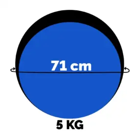 Alternative view of PELOTA MEDICINAL WINNER – 5 KG