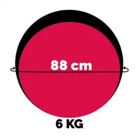 Alternative view of PELOTA MEDICINAL WINNER – 6 KG