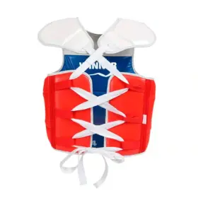 Alternative view of KIT DE PROTECCION TAEKWONDO C/ MOCHILA WINNER
