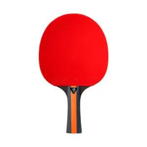 Alternative view of RAQUETA DE PING PONG STIGA VISION 4 ESTRELLAS