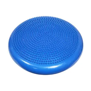 Alternative view of DISCO EQUILIBRIO PILATES YOGA - MEDIO BOSU TORNEO